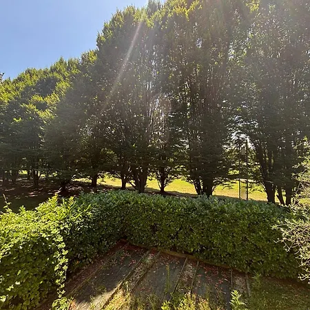House In The Park! Free Parking And Convenient To *